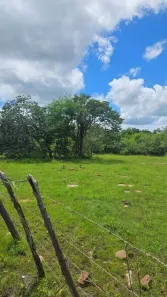 à venda, 726000m² no Paus de chapada, José de Freitas