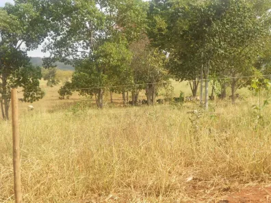 Fazenda/Sítio com 6 Quartos à venda, 14000000m² no Centro, Buenópolis