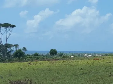 com 1 Quarto à venda, 224000m² no , Belmonte