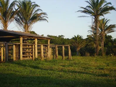 Fazenda/Sítio com 1 Quarto à venda, 1m² no Caravelas, Caravelas