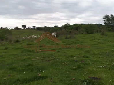 Fazenda/Sítio à venda, 1m² no , Garça