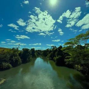 Fazenda/Sítio com 4 Quartos à venda, 145200m² no , Goiás