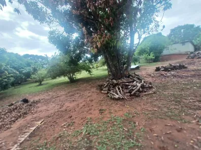Fazenda/Sítio com 2 Quartos à venda, 2400m² no , Brasília
