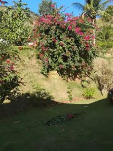 Fazenda/Sítio com 9 Quartos à venda, 25000m² no Comunidade Urbana de Iguape, Guarapari