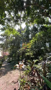 Lote/Terreno à venda, 250m² no Trancoso, Porto Seguro