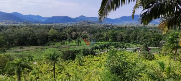 Fazenda/Sítio com 1 Quarto à venda, 332m² no Guaraqueçaba, Guaraqueçaba