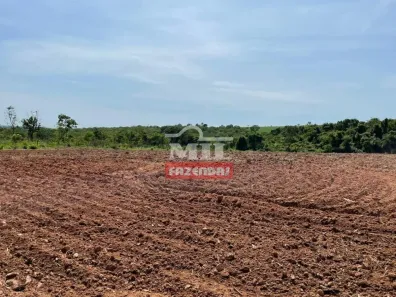 Fazenda/Sítio à venda, 500m² no , São Luíz do Norte