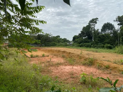Lote/Terreno à venda, 96680m² no Tarumã, Manaus