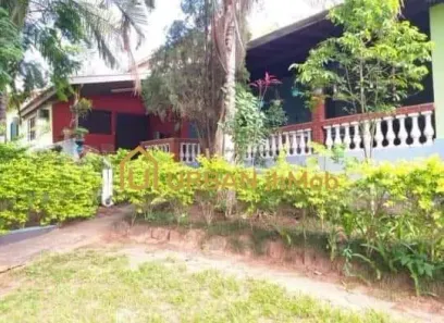 Fazenda/Sítio com 3 Quartos à venda, 200m² no , Avaí