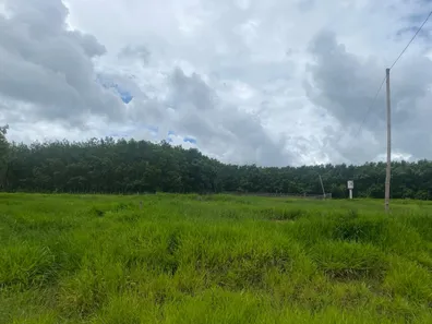 Fazenda/Sítio com 5 Quartos à venda, 35m² no , Silvânia