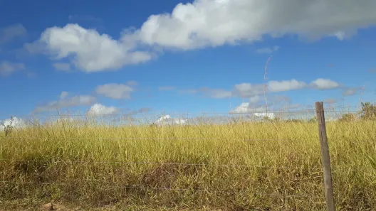 Lote/Terreno à venda, 20000m² no , Paraopeba