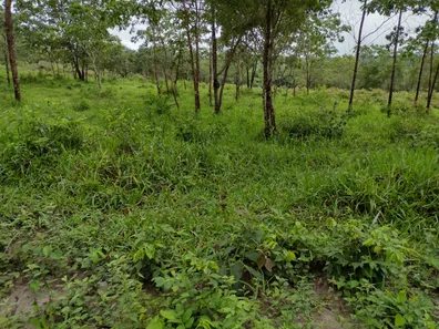 Lote/Terreno à venda, 20000m² no , Fortuna de Minas