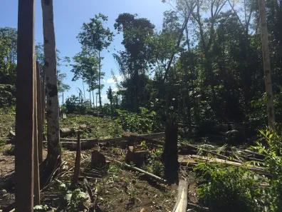 Lote/Terreno à venda, 400m² no Tarumã, Manaus