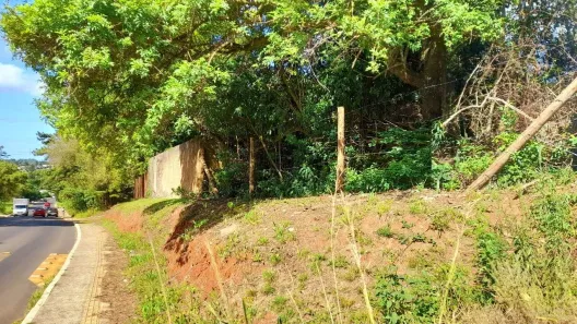 Lote/Terreno à venda, 501m² no Tarumã, Viamão