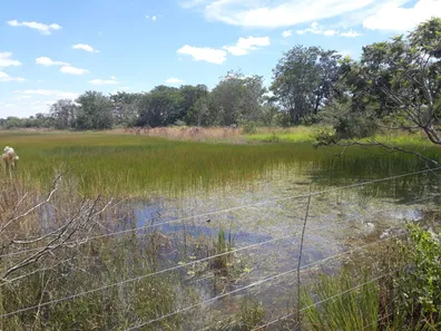 Lote/Terreno à venda, 20000m² no , Araçaí