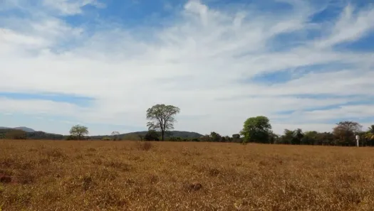 Fazenda/Sítio com 1 Quarto à venda, 400m² no Rodovia BR 153, Jaraguá