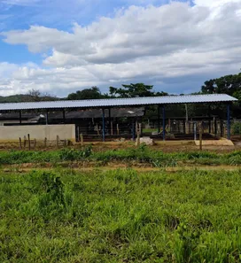 Fazenda/Sítio à venda no , Buritis