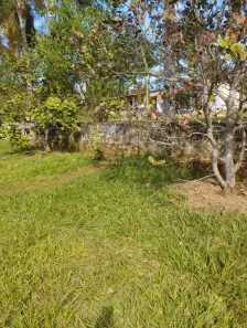 Fazenda/Sítio com 3 Quartos à venda, 250m² no , Terezópolis de Goiás