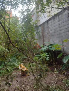Lote/Terreno à venda, 138m² no Jardim Pinheiro, Poá