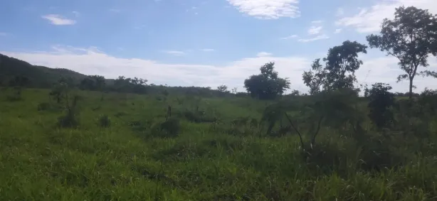 Fazenda/Sítio à venda, 580800m² no Centro, Jaraguá
