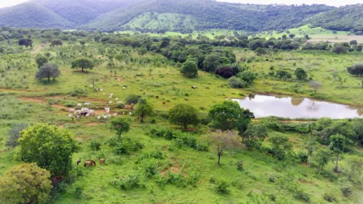 Fazenda/Sítio à venda, 871200m² no , Niquelândia