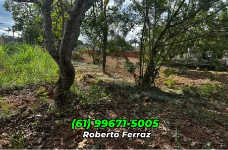 Casa de Condomínio com 4 Quartos à venda, 1000m² no Setor de Habitações Individuais Norte, Brasília