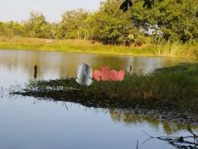Fazenda/Sítio à venda, 9m² no Área Rural de Iacanga, Iacanga