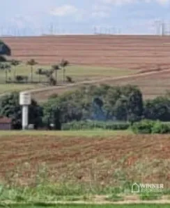 Lote/Terreno para venda ou aluguel, 10000m² no Br-376, Marialva