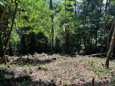 Lote/Terreno à venda, 1800m² no Balneario Praia do Perequê, Guarujá