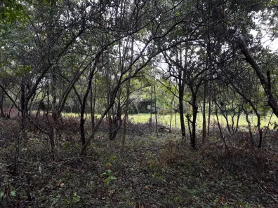 Lote/Terreno à venda, 20000m² no , Araçaí