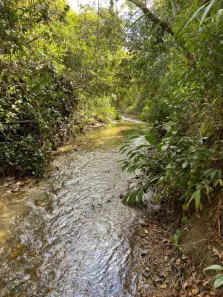 Fazenda/Sítio com 1 Quarto à venda, 48400m² no , Abadiânia