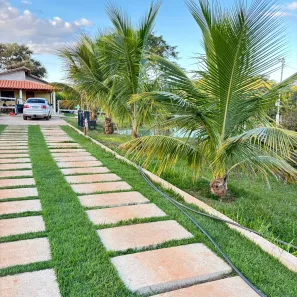 Fazenda/Sítio com 3 Quartos à venda, 3000m² no , Nerópolis