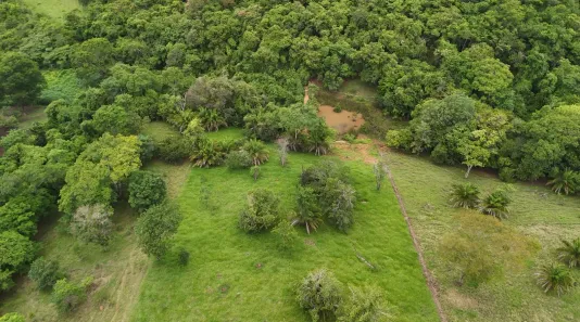 Fazenda/Sítio à venda, 20000m² no ZONA RURAL, Bonfinópolis