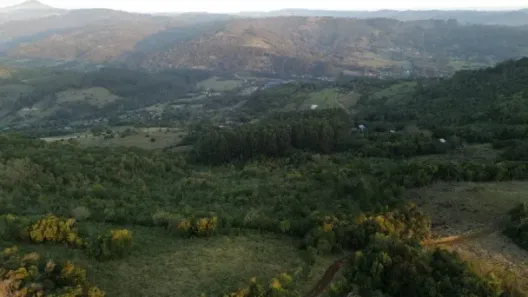 Fazenda/Sítio com 1 Quarto à venda, 50m² no , Caraá