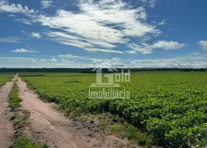 Fazenda/Sítio à venda, 5808000m² no Riviera de Santa Cristina I, Arandu