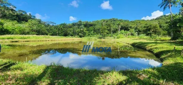 Fazenda/Sítio com 3 Quartos à venda, 300m² no Rio do Cedro, Antonina
