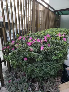 Kitnet para alugar, 24m² no Catete, Rio de Janeiro