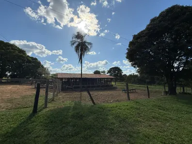 Fazenda/Sítio com 2 Quartos à venda, 2000m² no , Guapó