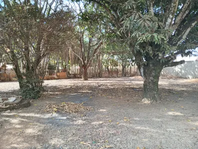 Fazenda/Sítio com 2 Quartos à venda, 5000m² no Setor Central, Padre Bernardo