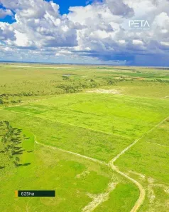 Fazenda/Sítio com 1 Quarto à venda, 625000m² no , Bonfim