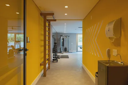 Raizes do parque no Vila Clementino, São Paulo