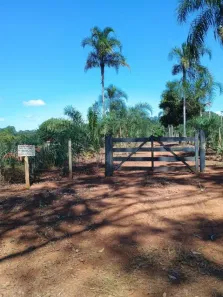 Fazenda/Sítio com 4 Quartos à venda, 230m² no , Leopoldo de Bulhões