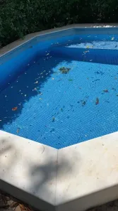 Casa de Condomínio com 4 Quartos para alugar, 290m² no Granja Olga I, Sorocaba