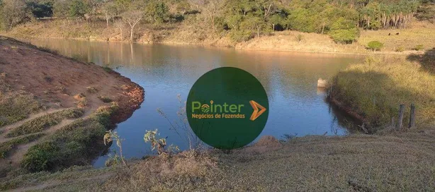 Fazenda/Sítio à venda, 580800m² no , Silvânia