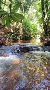 Fazenda/Sítio com 2 Quartos à venda, 200m² no Abadiânia, Abadiânia