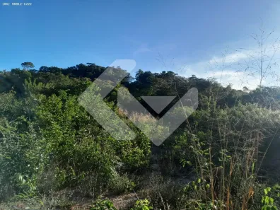 Fazenda/Sítio à venda, 70000m² no , Altos