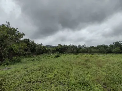 Lote/Terreno à venda, 20000m² no , Fortuna de Minas