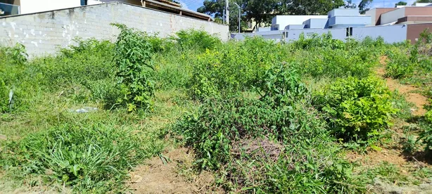 Lote/Terreno à venda, 360m² no Portal do Sol, Lagoa Santa