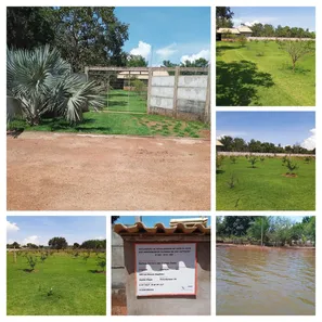 Fazenda/Sítio com 2 Quartos à venda, 16283m² no Luzimangues, Porto Nacional