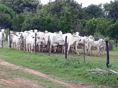 Lote/Terreno à venda, 20000m² no , Araçaí
